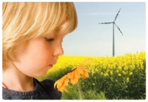 professional window cleaning