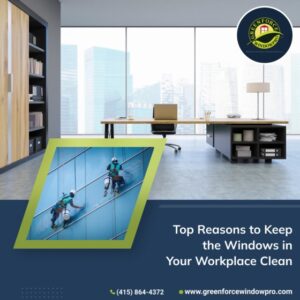 High Rise Window washers