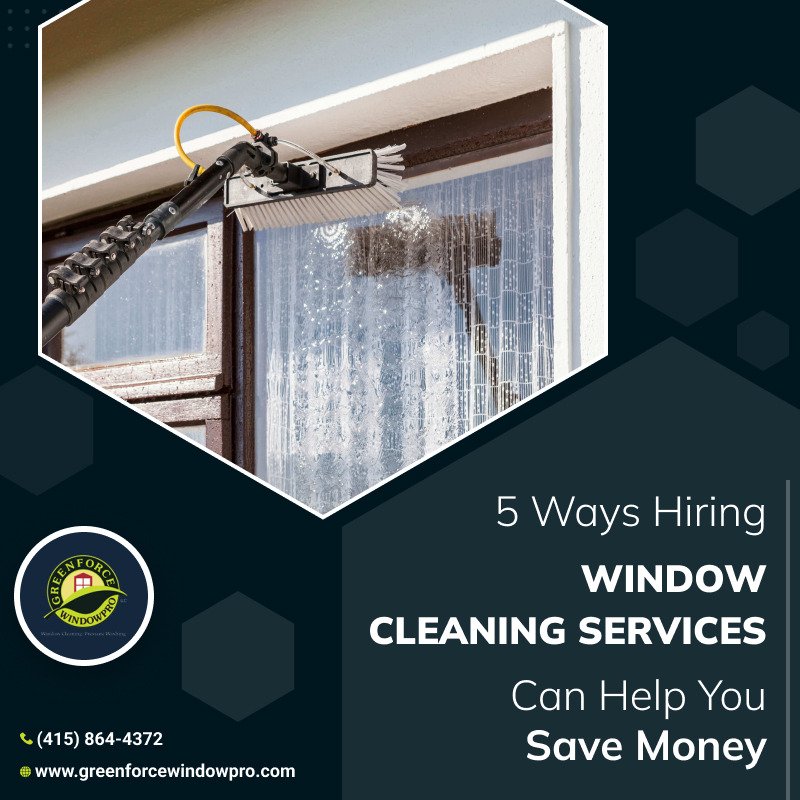 Window washing