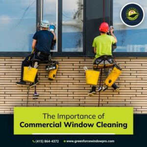 Window cleaning companies