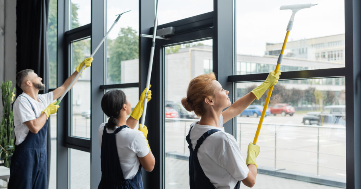 what professional window cleaning is