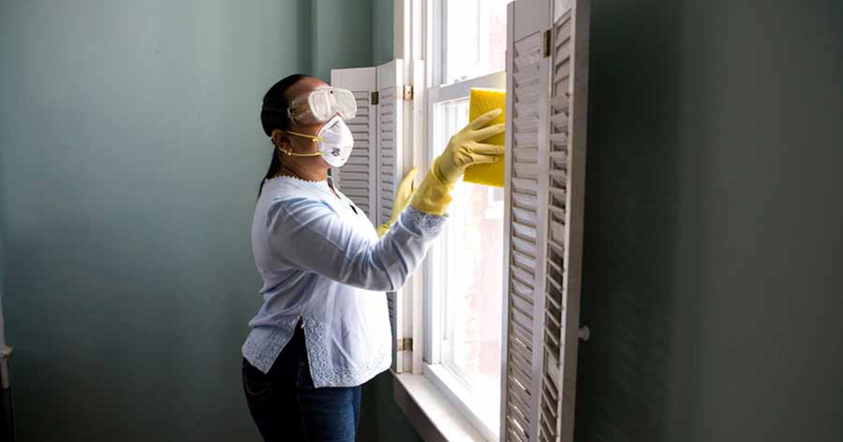 Top Benefits of Hiring a Window Cleaning Service Instead of DIY